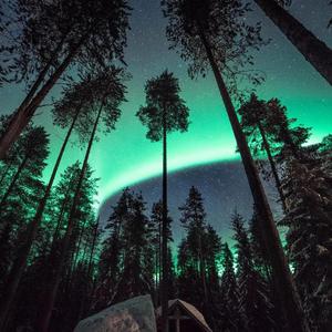 穿开档丝袜操逼逼
